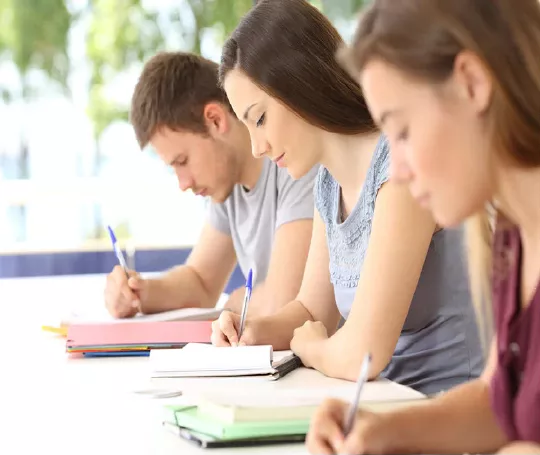 Master online in Sviluppo accademico e professionale Master online in Sviluppo accademico e professionale