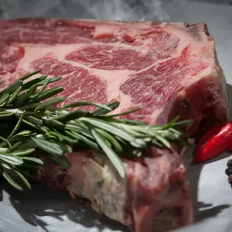 Vantaggi e sfide di una dieta carnivora