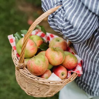 Consigli alimentari per il sollevamento pesi
