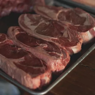 Corso di alimentazione carnivora a huelva