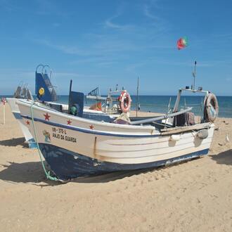 Corso online di nutrizione vegetariana e vegana per professionisti