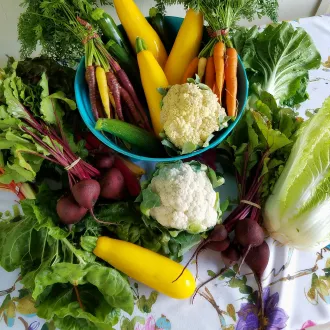 Bilanciare i macronutrienti in una dieta per endomorfi - dieta endomorfa