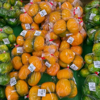 Corso di nutrizione geriatrica a huelva - nutrizione geriatria