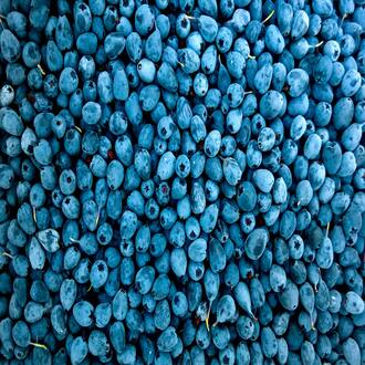 Corso online su allergeni e intolleranze alimentari per residenze - allergeni
