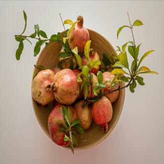 Cucina vegana - nutrizione olistica