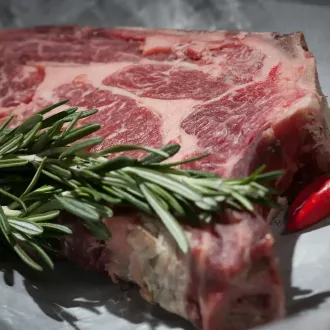 Impatto della dieta carnivora sulla digestione - nutrizione carnivoro