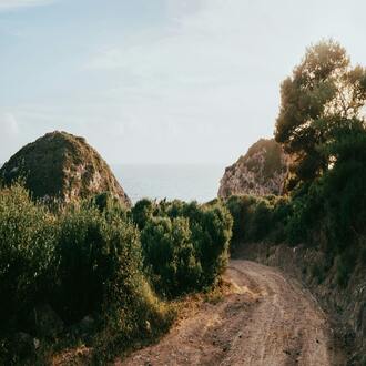 Qual è l'importanza delle fibre nella dieta di un endomorfo? - dieta endomorfa