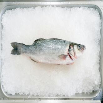 Come gestire le voglie nella dieta carnivora? - nutrizione carnivoro