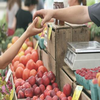 Considerazioni etiche nella nutrizione degli anziani non autosufficienti - nutrizione geriatria