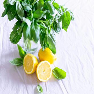 Corso online di nutrizione per endomorfi america latina - dieta endomorfa