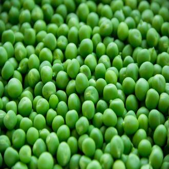 Corso online di nutrizione per vegetariani - alimentazione
