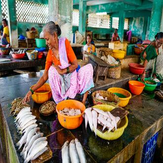 Dieta carnivora e tiroide - nutrizione carnivoro