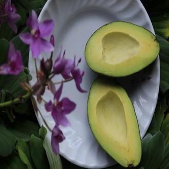 Diete ricche di proteine per endomorfi - dieta endomorfa