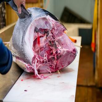 La dieta carnivora è costosa? - nutrizione carnivoro