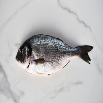 La dieta carnivora è sostenibile? - nutrizione carnivoro