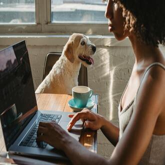 Opportunità di corsi economici: il tuo futuro inizia qui! -  cursos baratos online con certificado