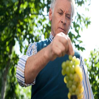 Quali segnali di allarme indicano che un anziano ha bisogno di supporto nutrizionale? - nutrizione geriatria