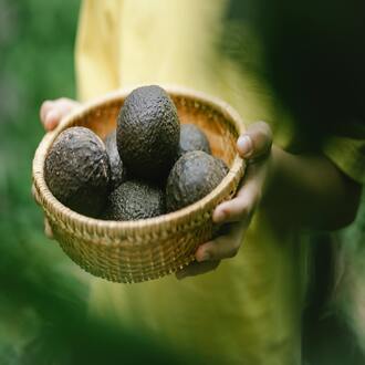 Sarcopenia e alimentazione - nutrizione geriatria